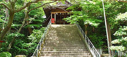 田殿丹生神社