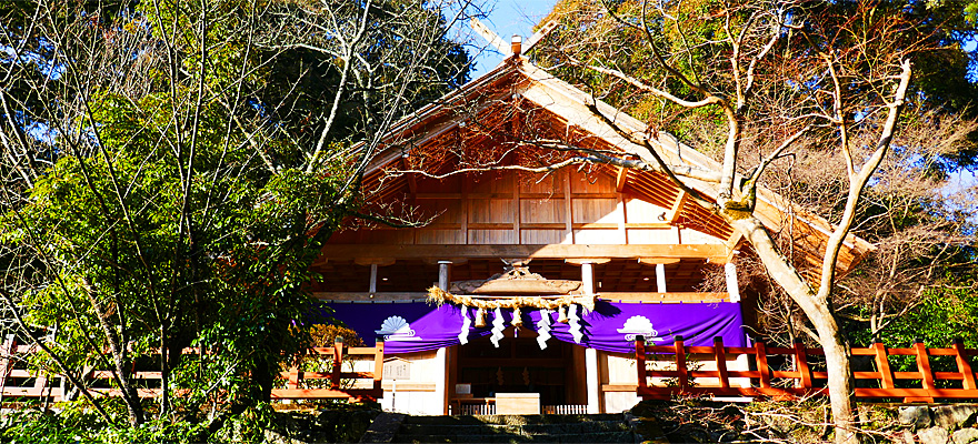 高鴨神社