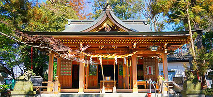 武蔵阿蘇神社