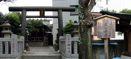 秋葉神社（北青山）