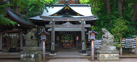 神社人 杵築大社